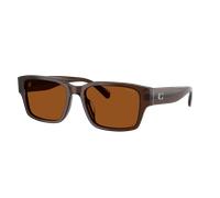 Coach Man Sunglass CBY96 - Frame color: Transparent Brown, Lens color: Brown Solid