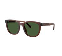 Coach Man Sunglass CCA00 - Frame color: Matte Transparent Brown, Lens color: Green Solid