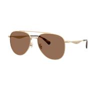 Coach Man Sunglass CDP40 - Frame color: Satin Light Gold, Lens color: Brown Solid