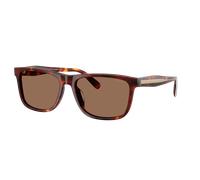 Coach Man Sunglass CDP55 - Frame color: Walnut Tortoise, Lens color: Brown Solid