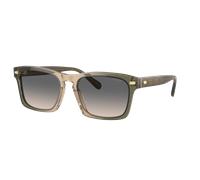 Coach Man Sunglass CR628 - Frame color: Olive Tan Gradient, Lens color: Green Sand