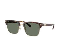 Coach Man Sunglass CW406 - Frame color: Light Gold/Dark Tortoise, Lens color: Green Solid