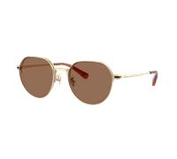 Coach Man Sunglass HC7179 CAE81 - Frame color: Shiny Light Gold, Lens color: Brown Solid