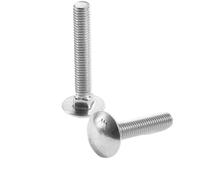 Coach Screws 304 Stainless Steel Carriage Bolts DIN603 Round Head Square Neck M10 M12 Multiple Sizes(M10*201 Piece)