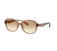 Coach Woman Sunglass CBY85 - Frame color: Transparent Brown, Lens color: Clear Brown