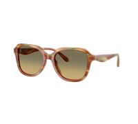 Coach Woman Sunglass CBY87 - Frame color: Striated Bark/Moss, Lens color: Green Grey Gradient