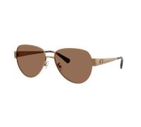 Coach Woman Sunglass CDP37 - Frame color: Brass, Lens color: Brown Solid