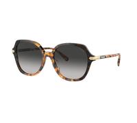 Coach Woman Sunglass CL925 - Frame color: Honey Tortoise Black Gradient, Lens color: Grey Gradient