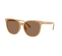 Coach Woman Sunglass CW428 - Frame color: Milky Tea, Lens color: Brown Solid