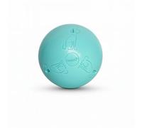 Coachi Boomi Ball Puppy & Mini | 4-inch | Cool Mint