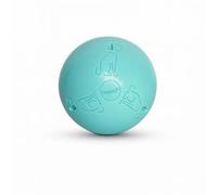 Coachi Boomi Ball Puppy & Mini | 4-inch | Cool Mint | Durable Enrichment Toy for Puppies and Small Dogs | Lightweight, Safe & Long-Lasting | Floats for Water Play