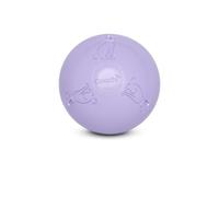 Coachi Boomi Ball Puppy & Mini | 6-inch | Ice Purple