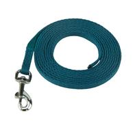 Coachi Puppy & Mini Training Line Teal for Dogs 1 Training Accessory