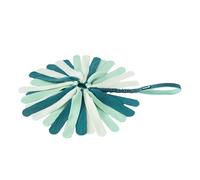 Coachi Puppy & Mini Tuggi Spider - Great for Tug & Play, Strong Dog Toy, Stretchy Bungee Handle, Reward Training, Recall, Agility, Interrupt Biting & Chewing. Suitable for Small Dogs & Puppies