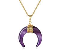 COAI Horn Crescent Moon Birthstone Necklace Amethyst Necklace for Women