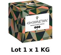 Lot Of 10 X 2.2Lbs Natural Coconut Charcoal - Hookah / BBQ - 90Min Combustion