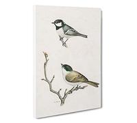 Coal Tit & Marsh Tit by Von Wright Canvas Print | Gallery Wrapped 30mm Frame Wall Art | 30x20 inches | Ready to Hang | Modern Picture | Living Room Bedroom Lounge Office