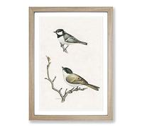Coal Tit & Marsh Tit by Von Wright Framed Print | A2 Oak Framed Wall Art | Ready to Hang | Modern Nature Picture | Living Room Bedroom Lounge Office