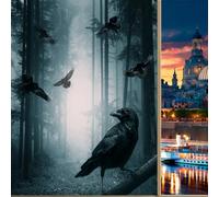 COALHO Foggy Forest Home Window Film Crow Pattern Mystical Horror Gothic Misty Forest Night Suitable for living room,kitchen,bathroom,60W x120L(CM) x1Pcs