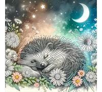 Coaroly Diamond Painting Kits for Adults,Sleeping Hedgehog 5D DIY Diamond Art Kit, Perfect for Gift Wall Decoration and Relaxation, 12x12 inch