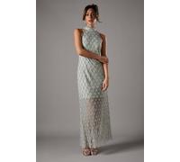 Coast All Over Embellished High Neck Dress In Sage sage 14