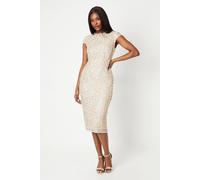 Coast Cap Sleeve Pearl Embellished Pencil Dress, 12, Champagne