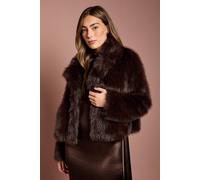 Coast Chocolate Occasion Short Faux Fur Coat chocolate 14