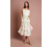 Coast Fan Bodice Embroidered Mesh Midi Dress In Ivory