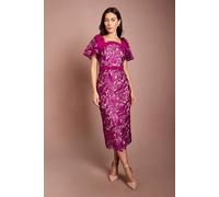 Coast Lace Bow Shoulder Pencil Midi Dress In Magenta magenta