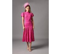 Coast Lace Frill Sleeve High Neck Midi Dress In Pink pink 14