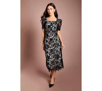 Coast Women's Lace Neck Trim Short Sleeve Pencil Dress in Black | Size: 18