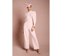 Coast Women's Lisa Tan High Neck Cape Sleeve Wide Leg Jumpsuit in Blush | Size: 10 Coast Blush 10