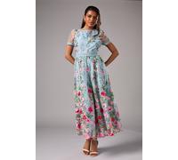 Coast Petite Embroidered Mesh Midi Dress With Lace Trim In Blue blue 4