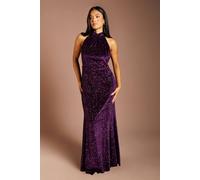Coast Petite High Neck Sleeveless Velvet Sequin Maxi Dress In Fig fig
