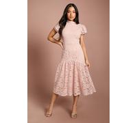Coast Women's Petite Lace Frill Sleeve High Neck Midi Dress in Blush | Size: 18