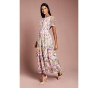 Coast Women's Petite Lace Trim Detail Embroidered Mesh Midi Dress in Blush | Size: 14 Coast Blush 14