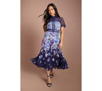 Coast Women's Petite Lisa Tan Lace Pleated Printed Midi Dress in Navy | Size: 8 Coast Navy 8