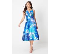 Coast Petite Notch Neck Stripe Twill Midi Dress In Blue blue 10