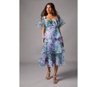 Coast Petite Organza Tiered Dress multi 6