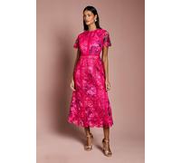 Coast Petite Printed Lace Midi Pencil Dress In Pink pink 4