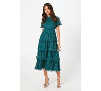 Coast Petite Tiered Lace Dress With Flutter Sleeve & Trims In Dark Green dark green 6