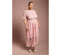 Coast Women's Plus Short Sleeve Lace Midi Dress in Blush | Size: 22 Coast Blush 22