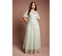Coast Plus Size Embroidered Angel Sleeve Bridesmaid Maxi Dress In Sage sage 18