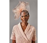 Coast Structured Mesh Bow Flat Fascinator In Blush blush One Size