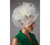 Coast Women's Structured Mesh Bow Flat Fascinator in Ivory Coast Ivory One Size