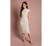 Coast Women's Cap Sleeve Pearl Embellished Pencil Dress in Lemon | Size: 18 Coast Lemon 18
