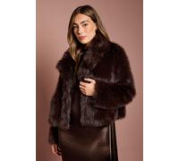 Coast Women's Chocolate Occasion Short Faux Fur Coat | Size: 16 Coast Chocolate 16