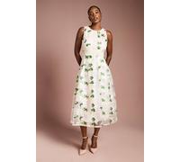 Coast Women's Embroidered Mesh Lace Trim Full Skirted Midi Dress in Blush | Size: 14 Coast Blush 14