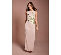 Coast Women's Floral Applique Sequin Maxi Dress in Blush | Size: 16 Coast Blush 16