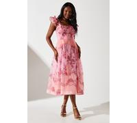 Coast Women's Frill Sleeve Square Neck Midi Dress in Pink | Size: 8 Coast Pink 8